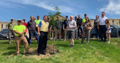 Cambridge Tree Project