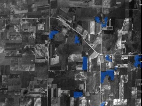 Dane County Old Growth Forest