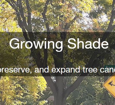 Growing Shade