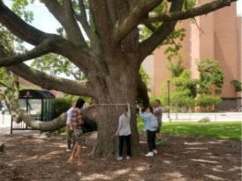 Dispatches From the Living Artifacts